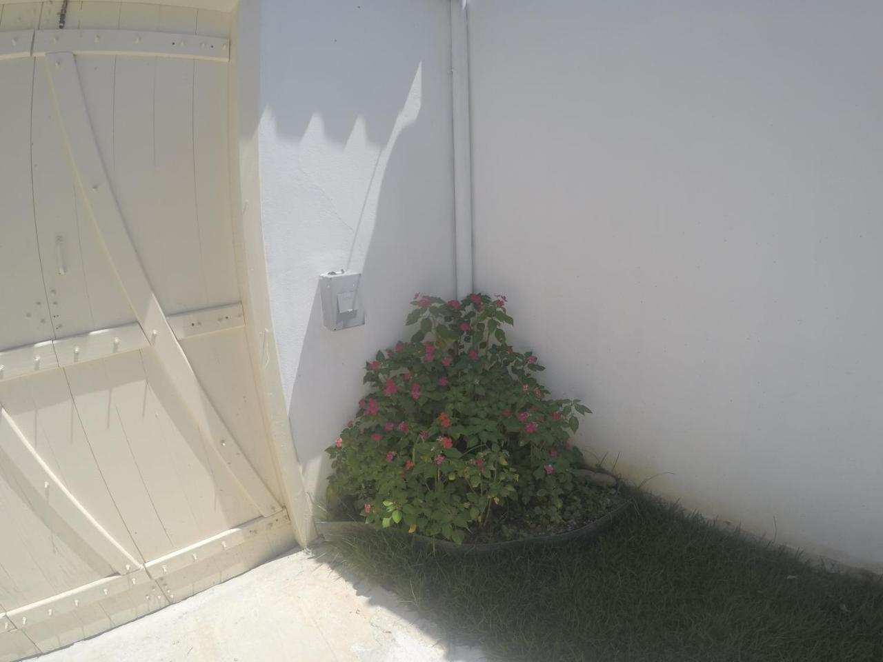 Residencial Flor De Ipe Paraty Exterior photo